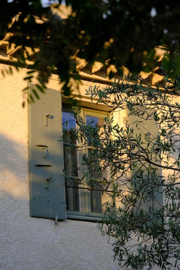 Bed and Breakfast Domaine Le Bois Des Dames Chantemerle-les-Grignan Екстер'єр фото