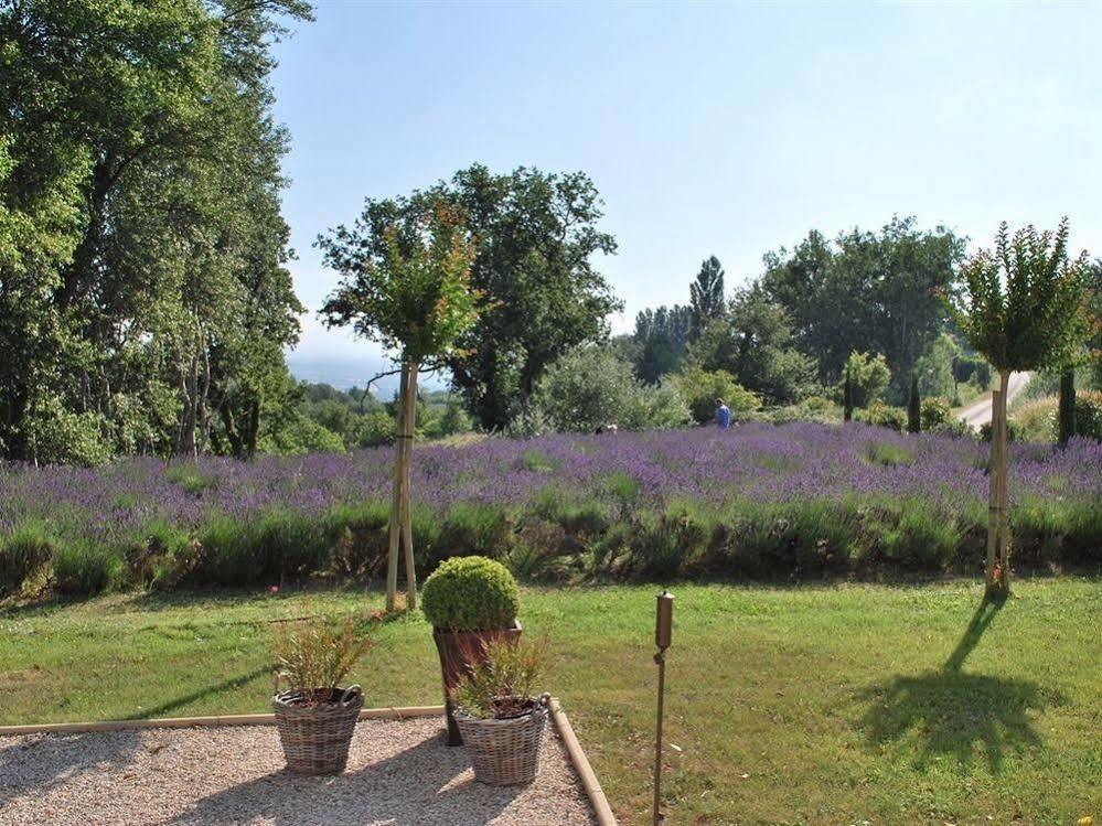 Bed and Breakfast Domaine Le Bois Des Dames Chantemerle-les-Grignan Екстер'єр фото